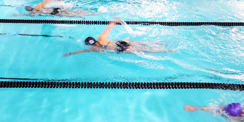 A lap swimmer doing freestyle between the lane lines